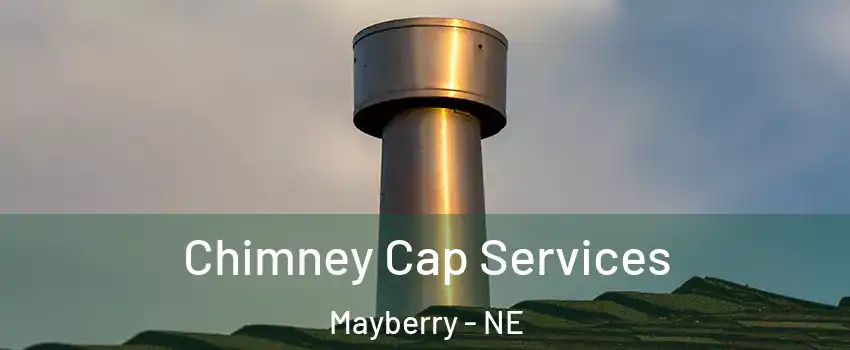 Chimney Cap Services Mayberry - NE