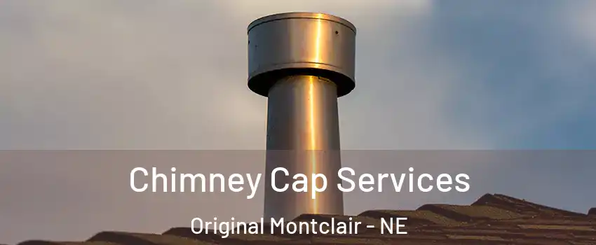 Chimney Cap Services Original Montclair - NE