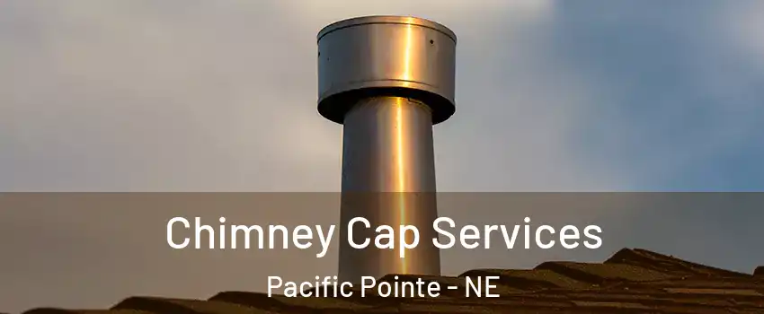 Chimney Cap Services Pacific Pointe - NE
