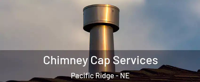 Chimney Cap Services Pacific Ridge - NE