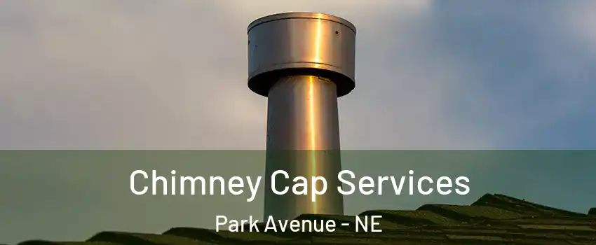 Chimney Cap Services Park Avenue - NE