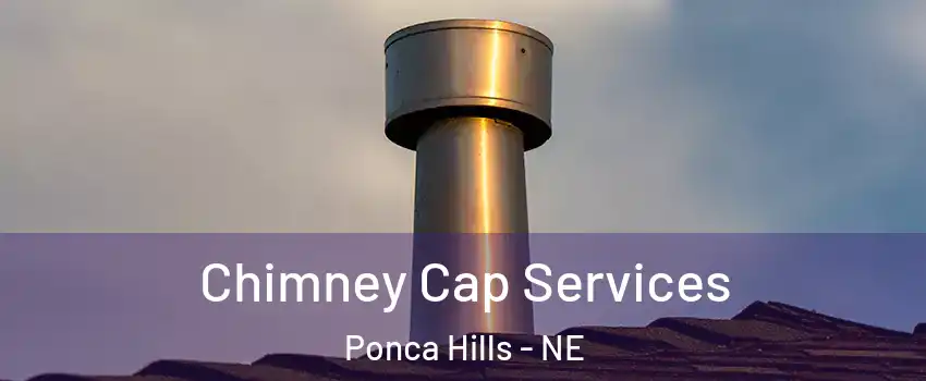 Chimney Cap Services Ponca Hills - NE