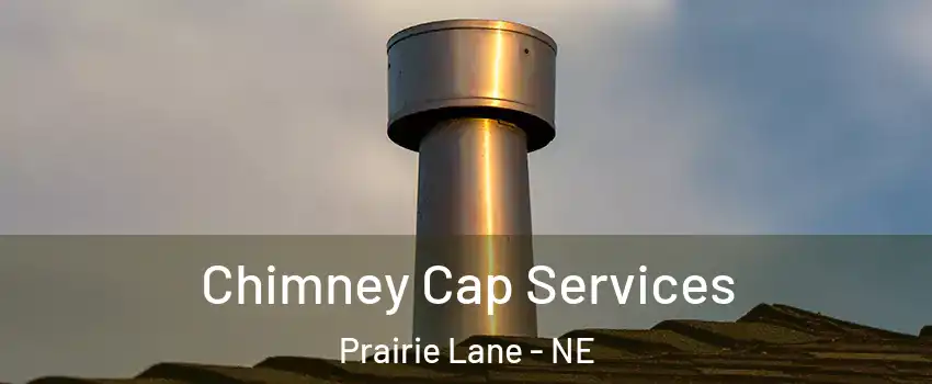 Chimney Cap Services Prairie Lane - NE