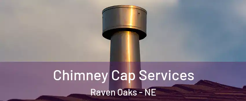 Chimney Cap Services Raven Oaks - NE
