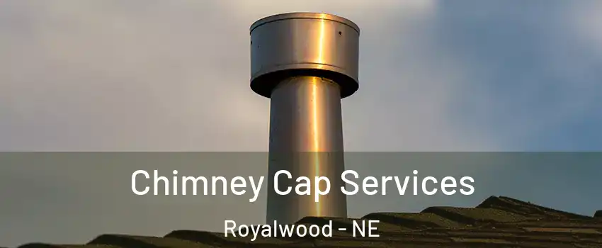 Chimney Cap Services Royalwood - NE