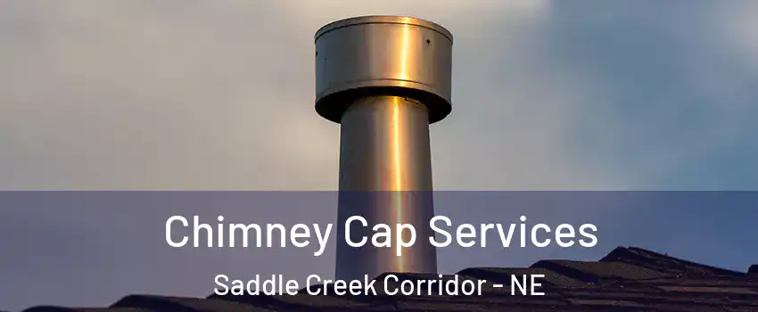 Chimney Cap Services Saddle Creek Corridor - NE