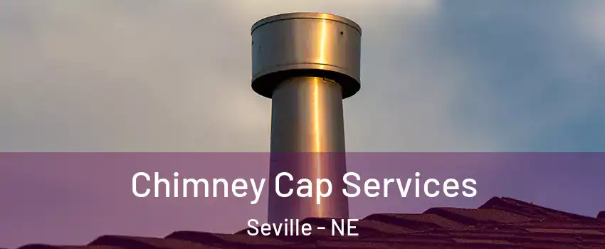 Chimney Cap Services Seville - NE