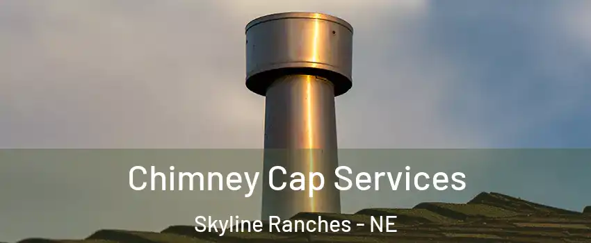 Chimney Cap Services Skyline Ranches - NE