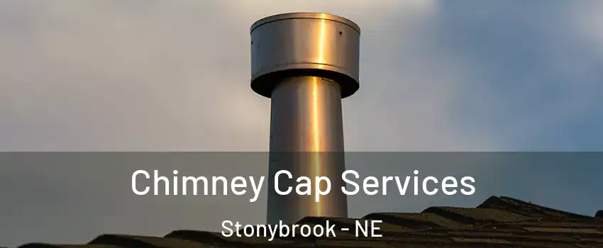 Chimney Cap Services Stonybrook - NE