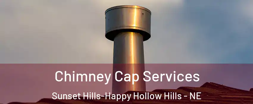 Chimney Cap Services Sunset Hills-Happy Hollow Hills - NE