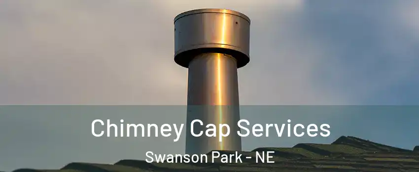 Chimney Cap Services Swanson Park - NE