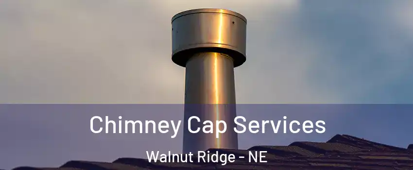 Chimney Cap Services Walnut Ridge - NE
