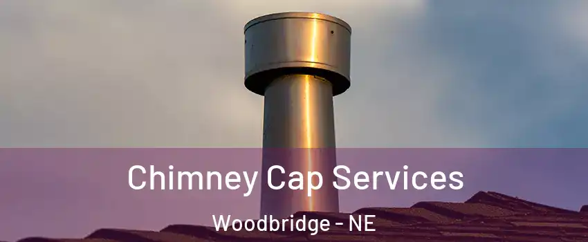 Chimney Cap Services Woodbridge - NE