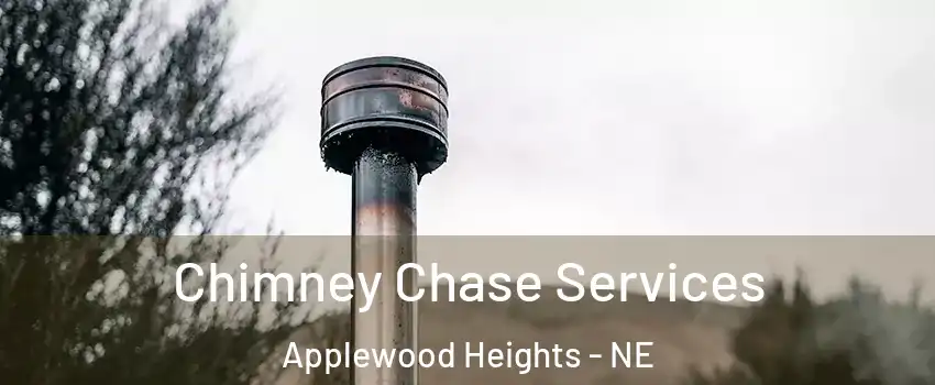 Chimney Chase Services Applewood Heights - NE