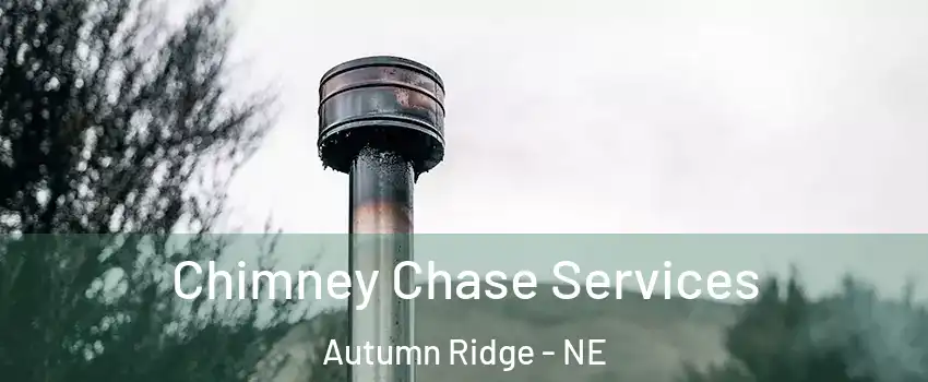 Chimney Chase Services Autumn Ridge - NE