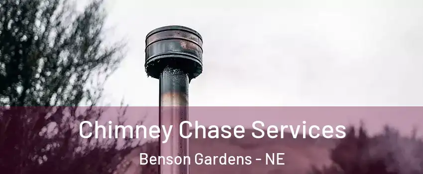 Chimney Chase Services Benson Gardens - NE