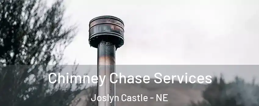 Chimney Chase Services Joslyn Castle - NE