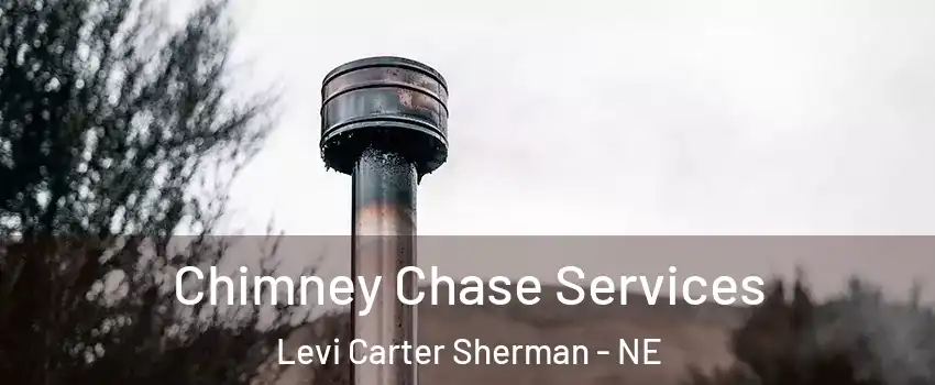 Chimney Chase Services Levi Carter Sherman - NE