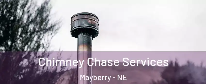 Chimney Chase Services Mayberry - NE