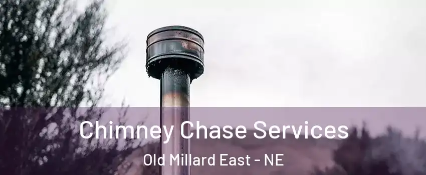 Chimney Chase Services Old Millard East - NE