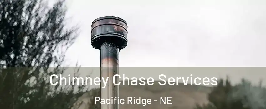 Chimney Chase Services Pacific Ridge - NE