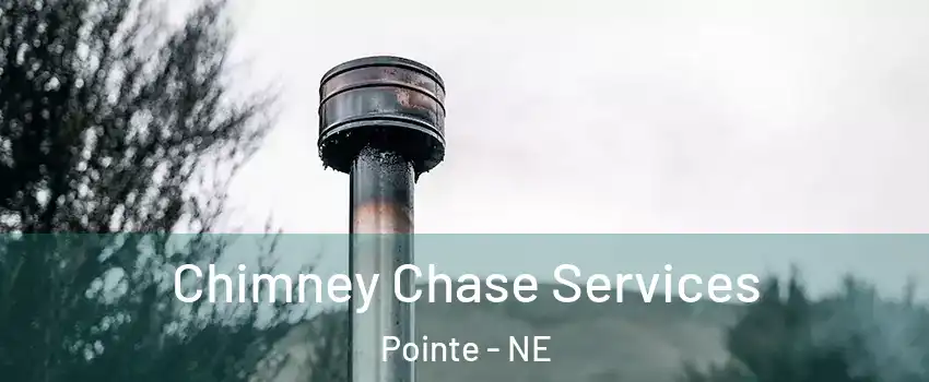 Chimney Chase Services Pointe - NE