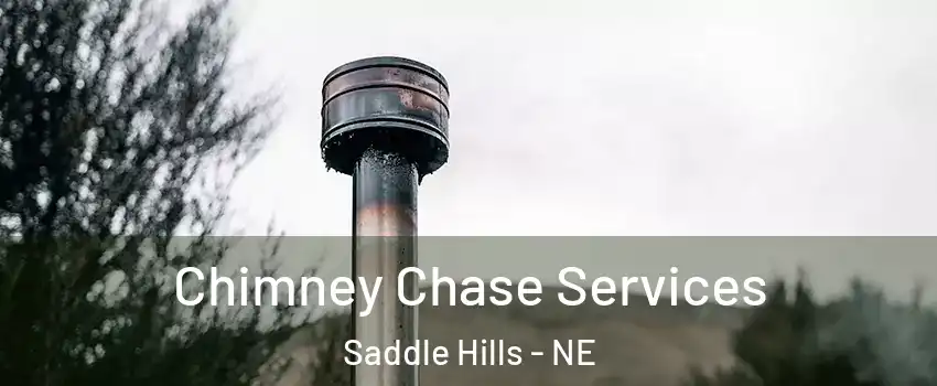 Chimney Chase Services Saddle Hills - NE