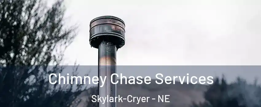 Chimney Chase Services Skylark-Cryer - NE