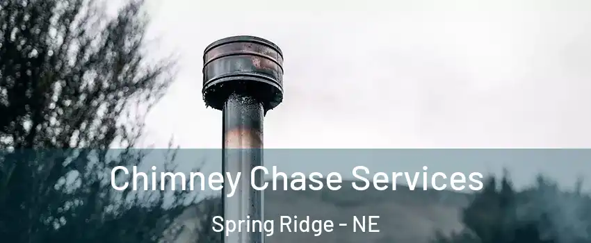 Chimney Chase Services Spring Ridge - NE