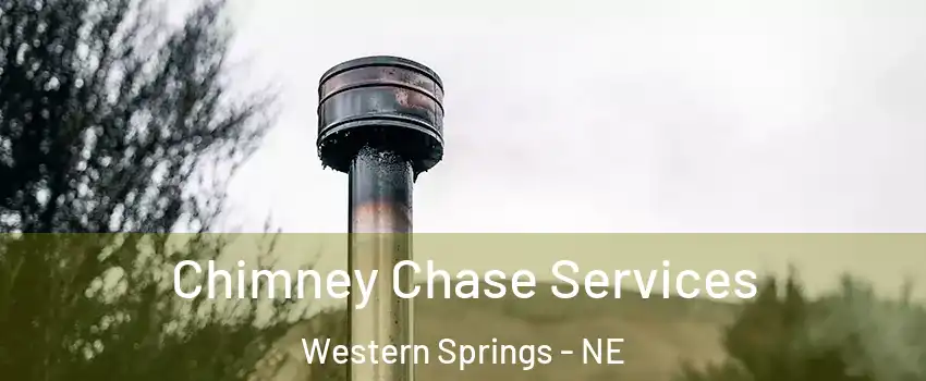 Chimney Chase Services Western Springs - NE