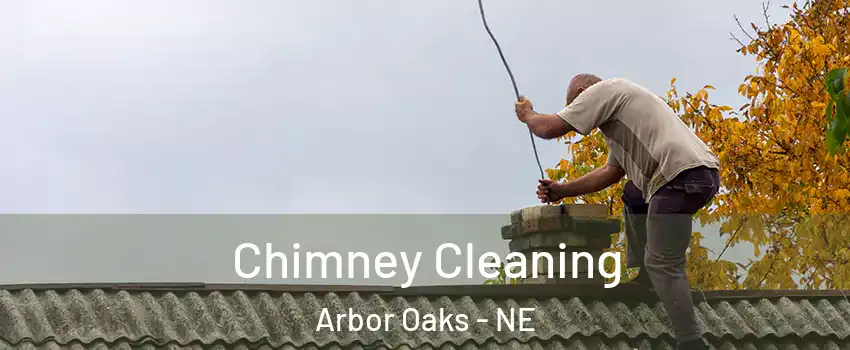Chimney Cleaning Arbor Oaks - NE