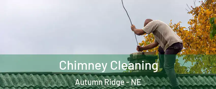 Chimney Cleaning Autumn Ridge - NE