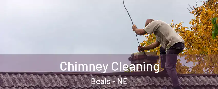 Chimney Cleaning Beals - NE