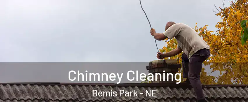 Chimney Cleaning Bemis Park - NE