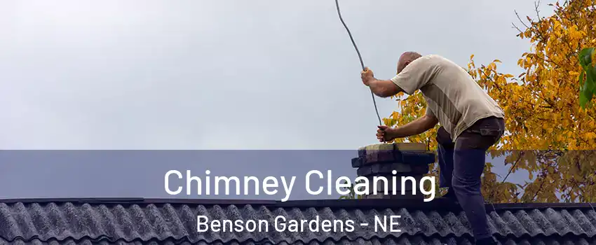 Chimney Cleaning Benson Gardens - NE