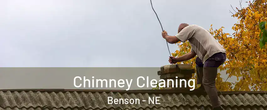 Chimney Cleaning Benson - NE