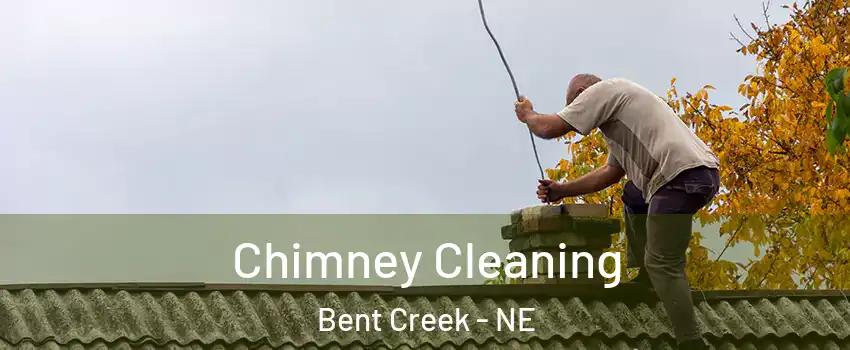 Chimney Cleaning Bent Creek - NE