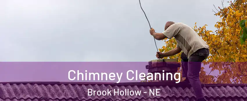 Chimney Cleaning Brook Hollow - NE