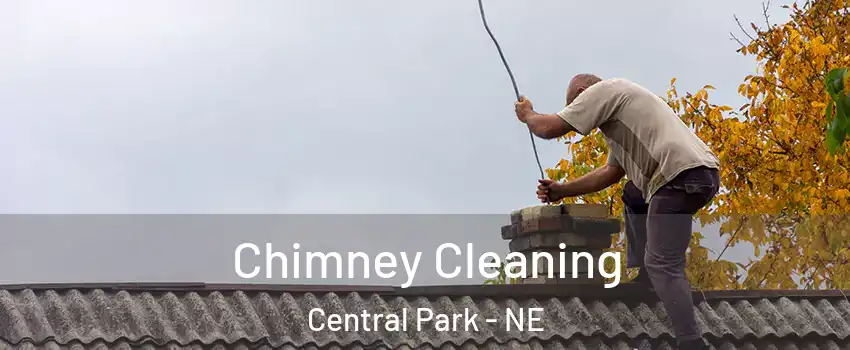 Chimney Cleaning Central Park - NE