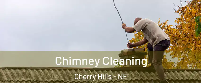 Chimney Cleaning Cherry Hills - NE