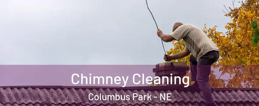 Chimney Cleaning Columbus Park - NE