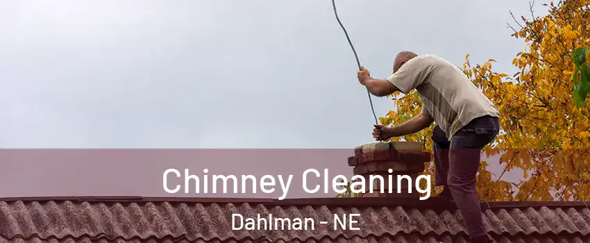 Chimney Cleaning Dahlman - NE