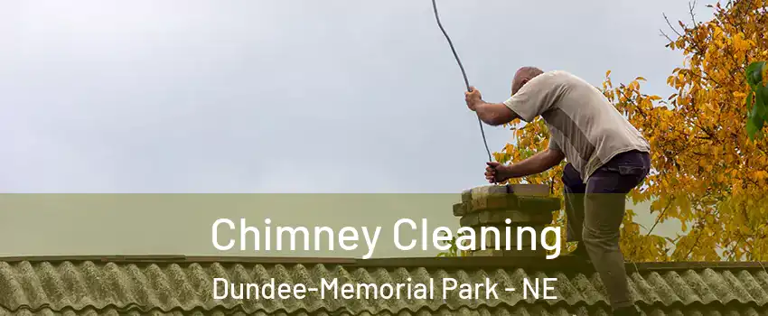 Chimney Cleaning Dundee-Memorial Park - NE