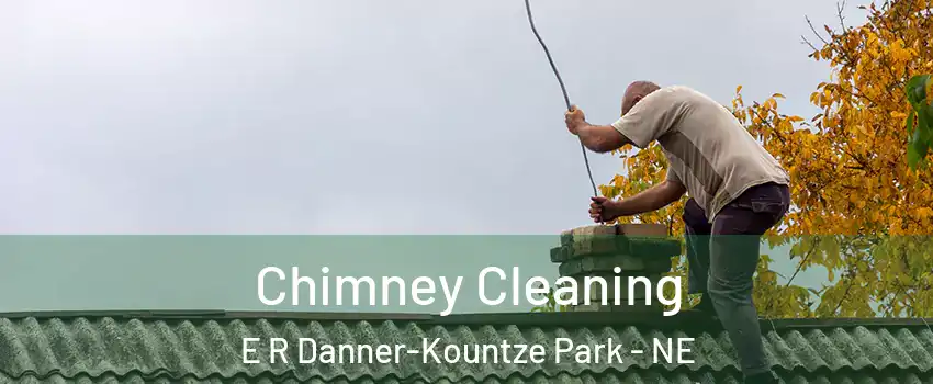 Chimney Cleaning E R Danner-Kountze Park - NE