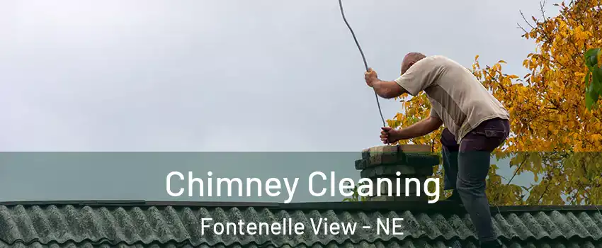Chimney Cleaning Fontenelle View - NE