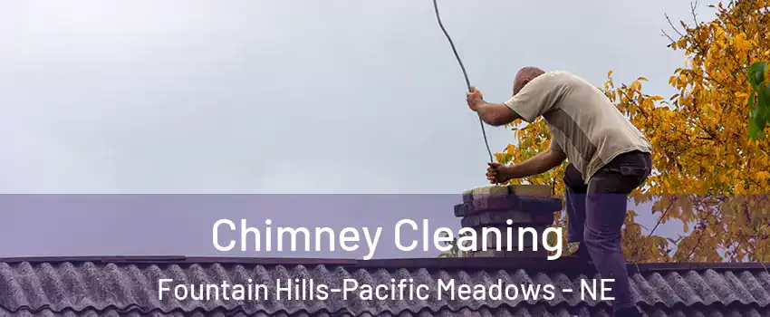 Chimney Cleaning Fountain Hills-Pacific Meadows - NE