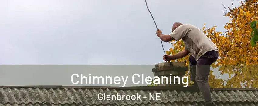 Chimney Cleaning Glenbrook - NE