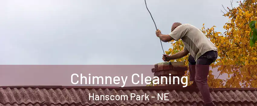 Chimney Cleaning Hanscom Park - NE