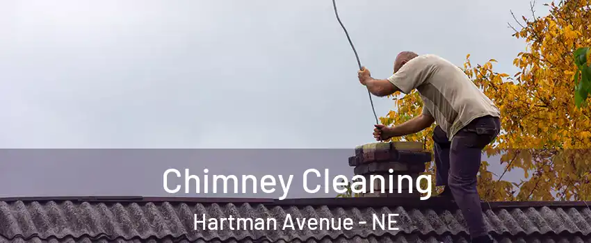 Chimney Cleaning Hartman Avenue - NE
