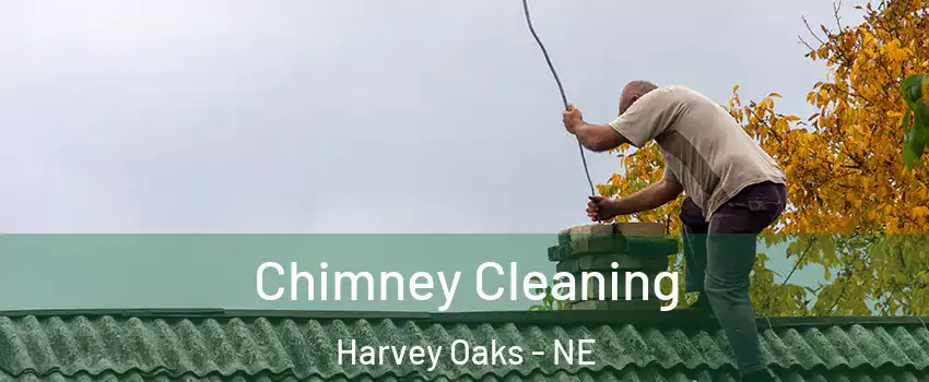 Chimney Cleaning Harvey Oaks - NE